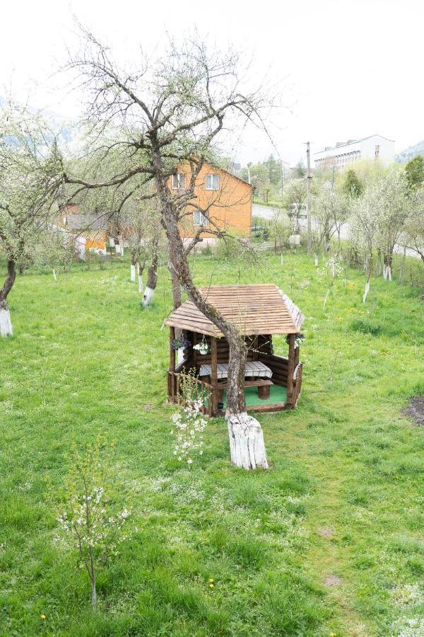 Садиба В Пані Рузі Skole Εξωτερικό φωτογραφία